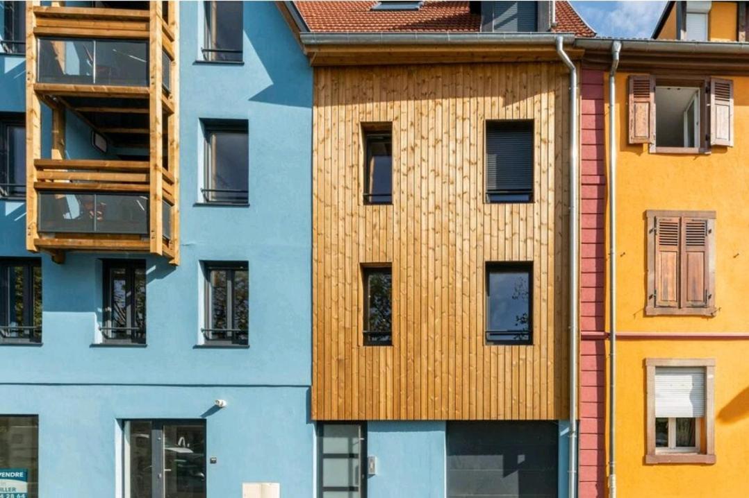 Le Nature 1 Chambre Et Sauna Colmar Bagian luar foto