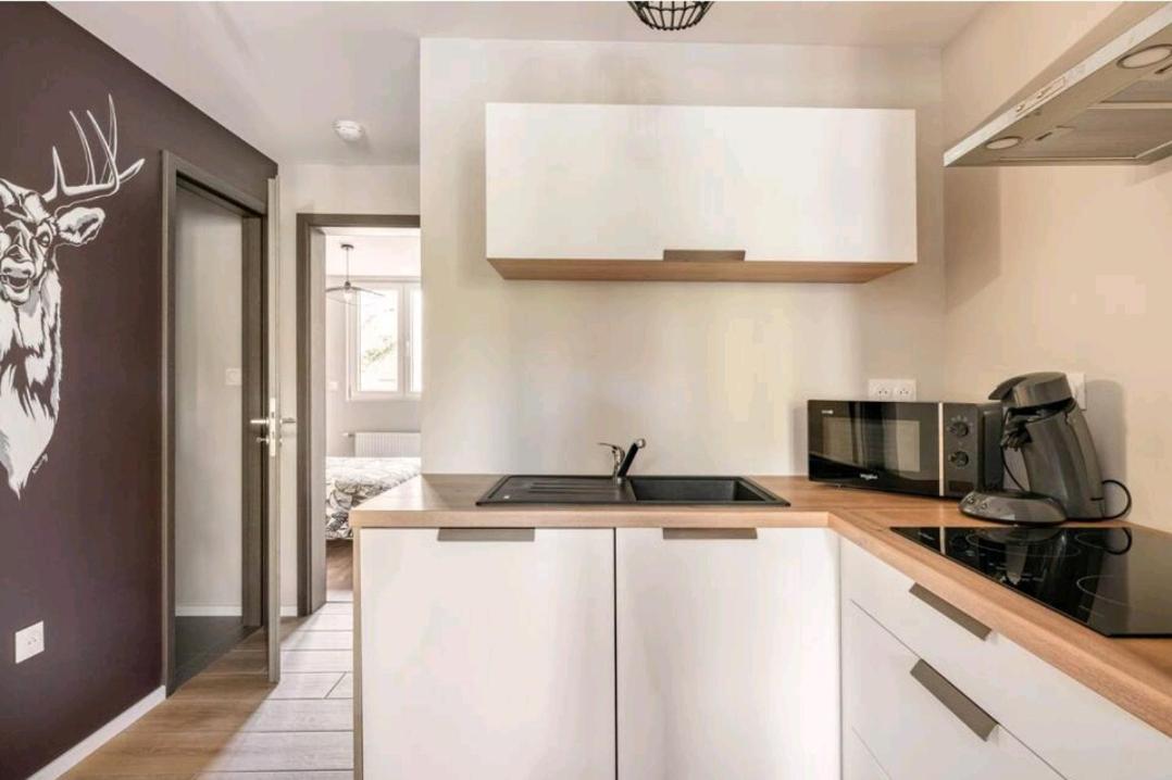 Le Nature 1 Chambre Et Sauna Colmar Bagian luar foto